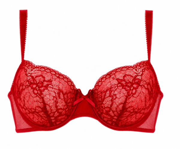 Life In Style Women's Scarlet Lace Underwire Bra